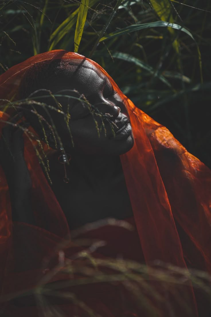 Organic Ghanaian Collection